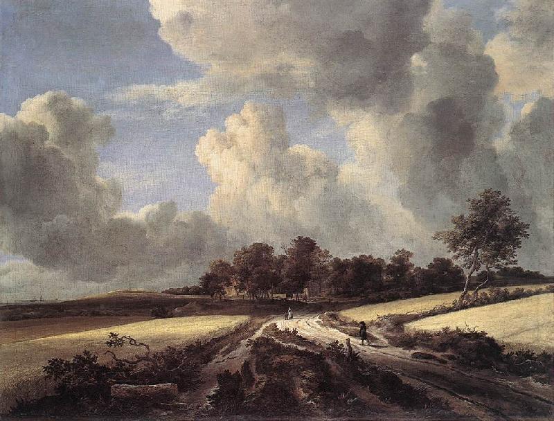 RUISDAEL, Jacob Isaackszon van Wheat Fields dh oil painting picture